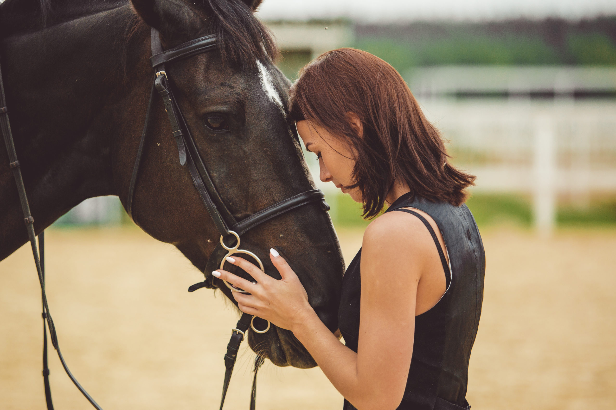 Assurance pour cheveaux